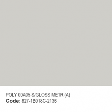 POLY 00A05 S/GLOSS ME1R (A)